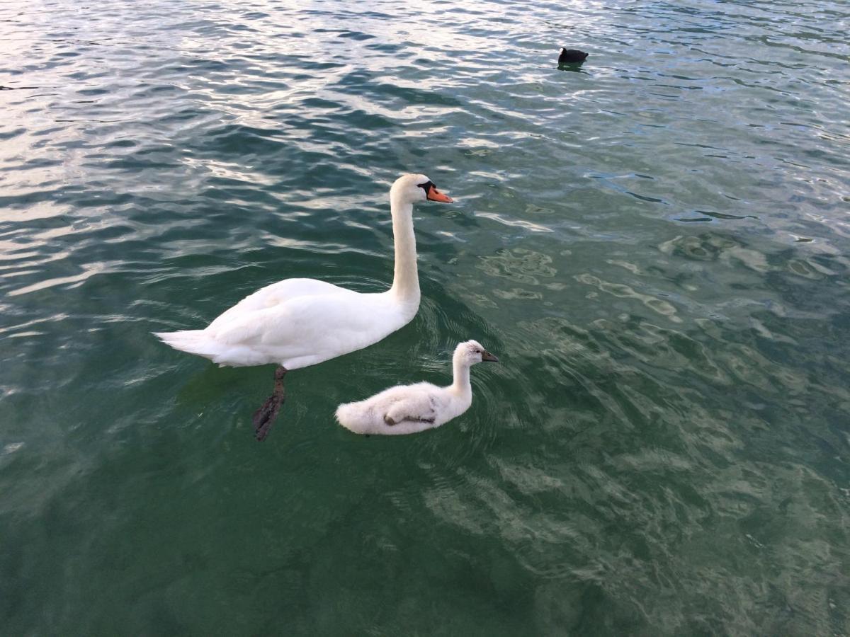 Lac Annecy Plage Privee, Duplex Baie Des Voiles Duingt Luaran gambar